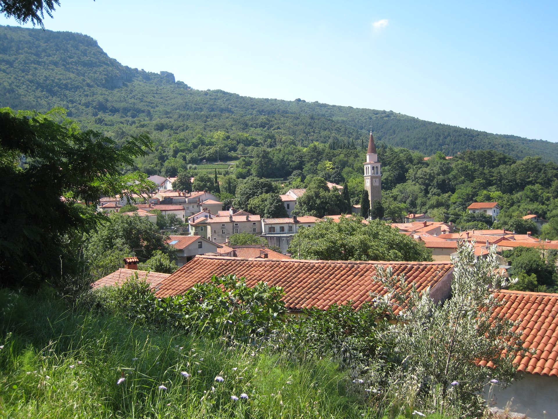 Comune di San Dorligo della Valle
