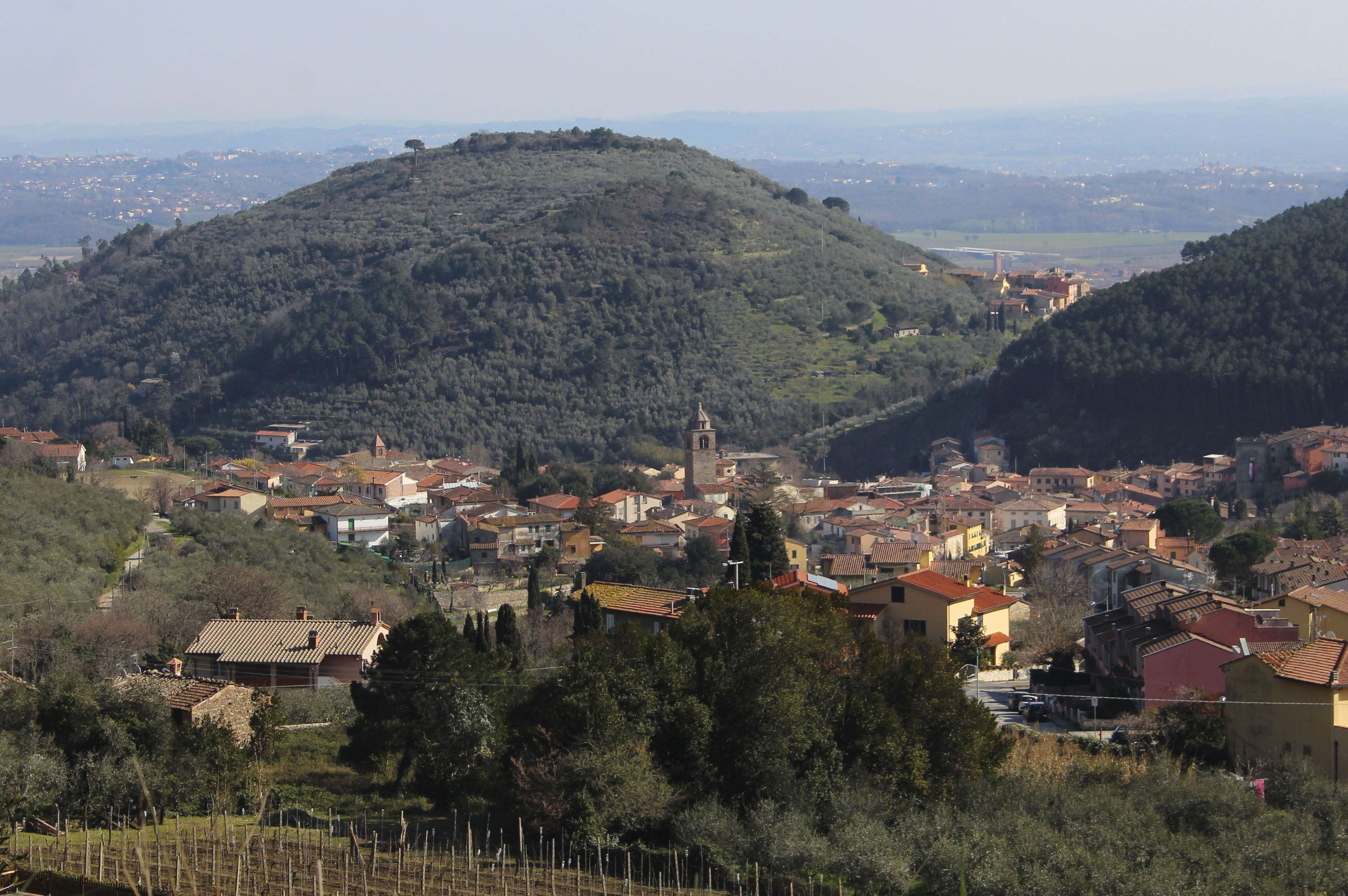 Comune di Buti