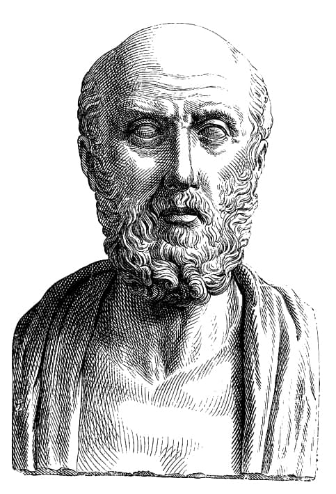 Comune di Medicina