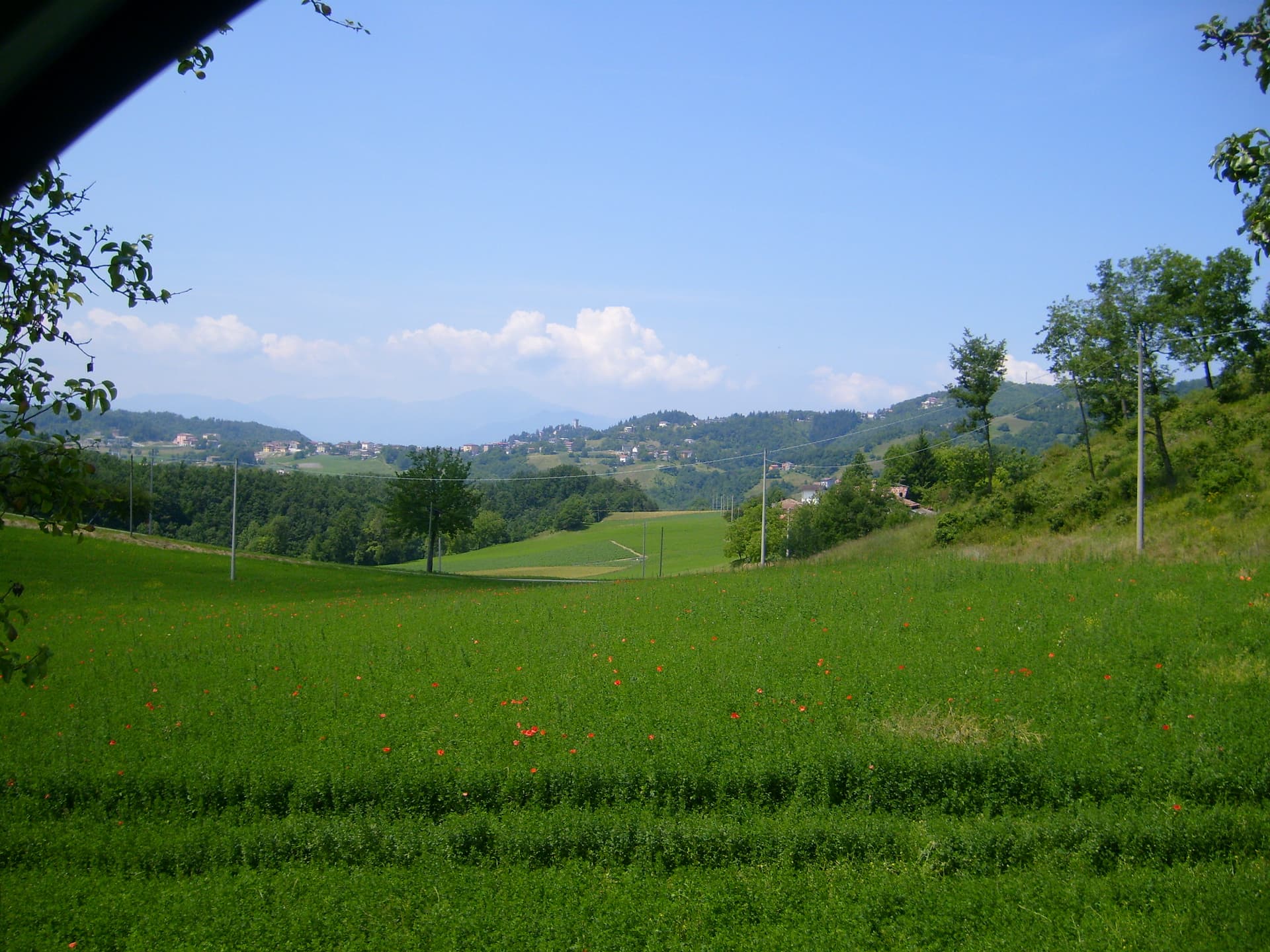 Comune di Montese