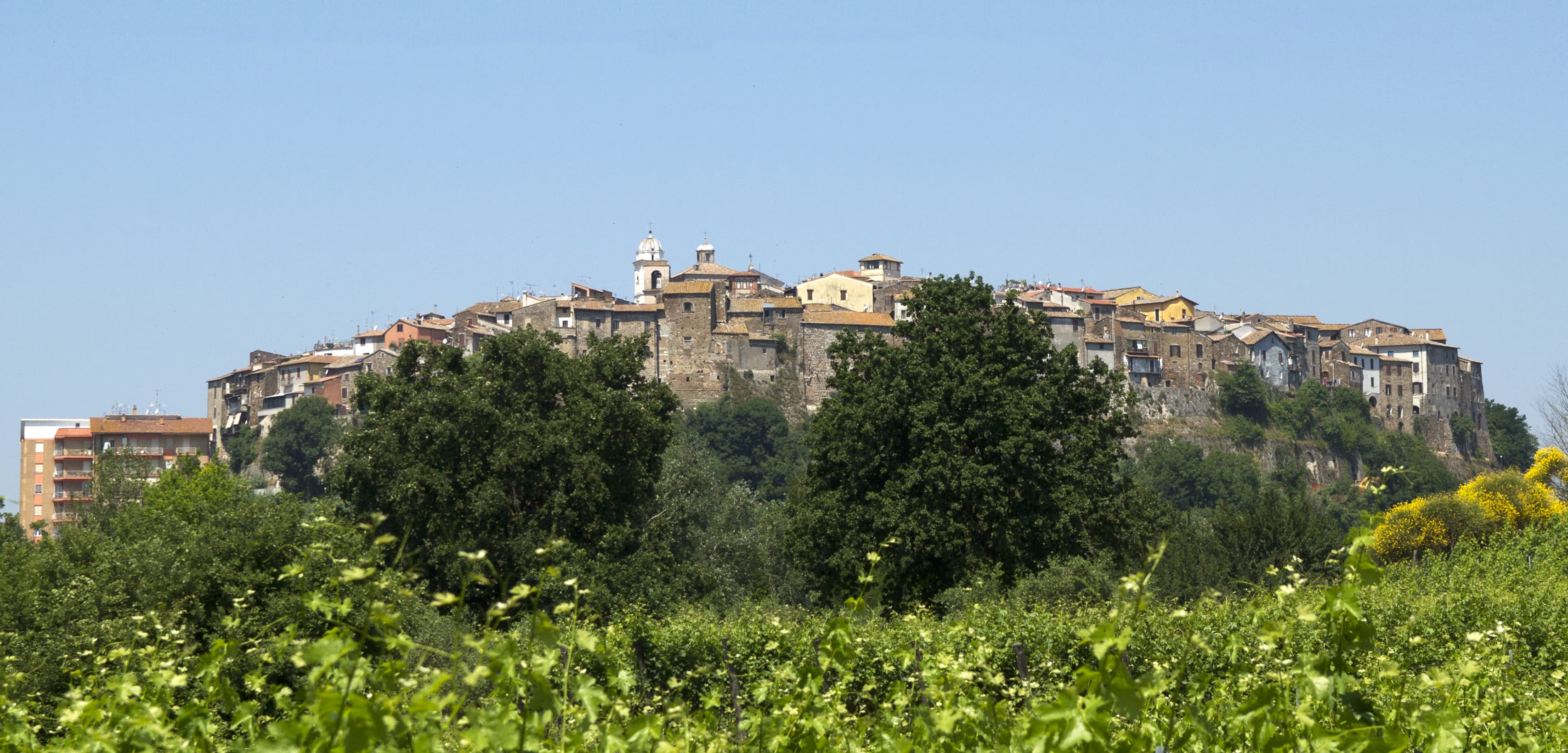 Comune di Orte