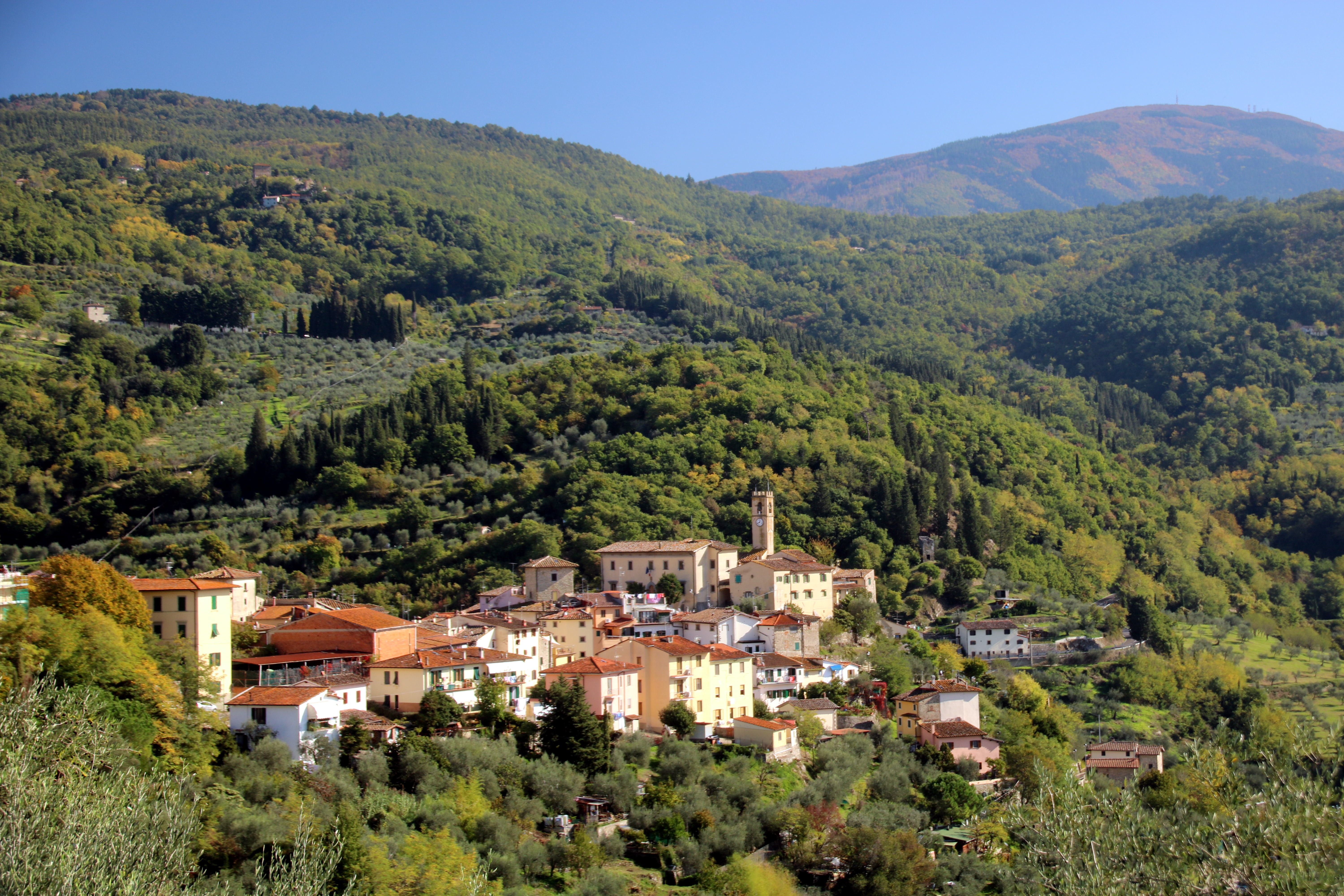 Comune di Pelago