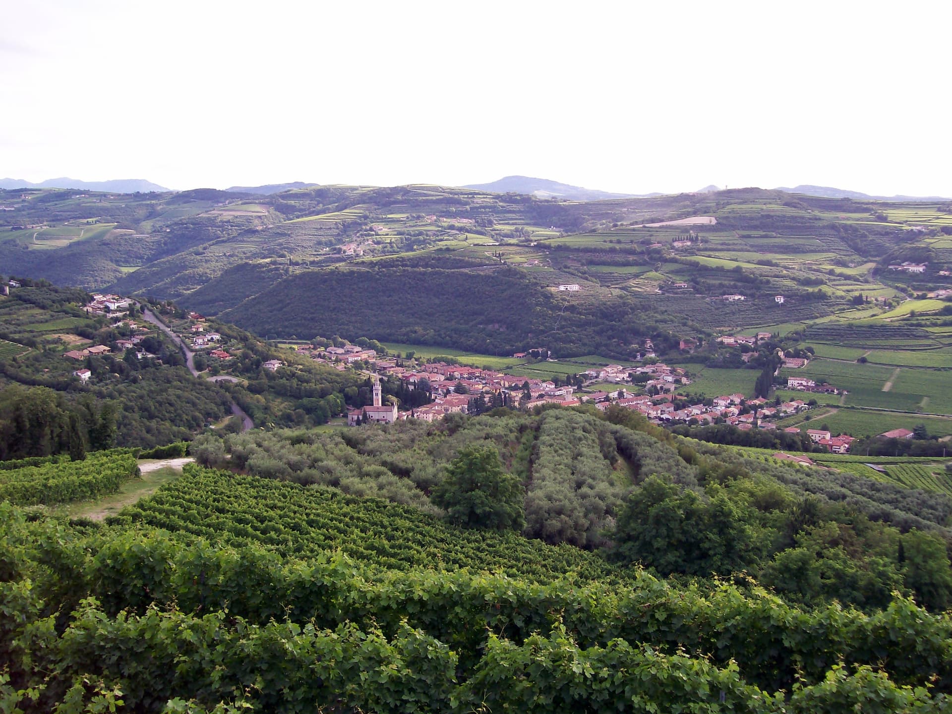 Comune di Mezzane di Sotto