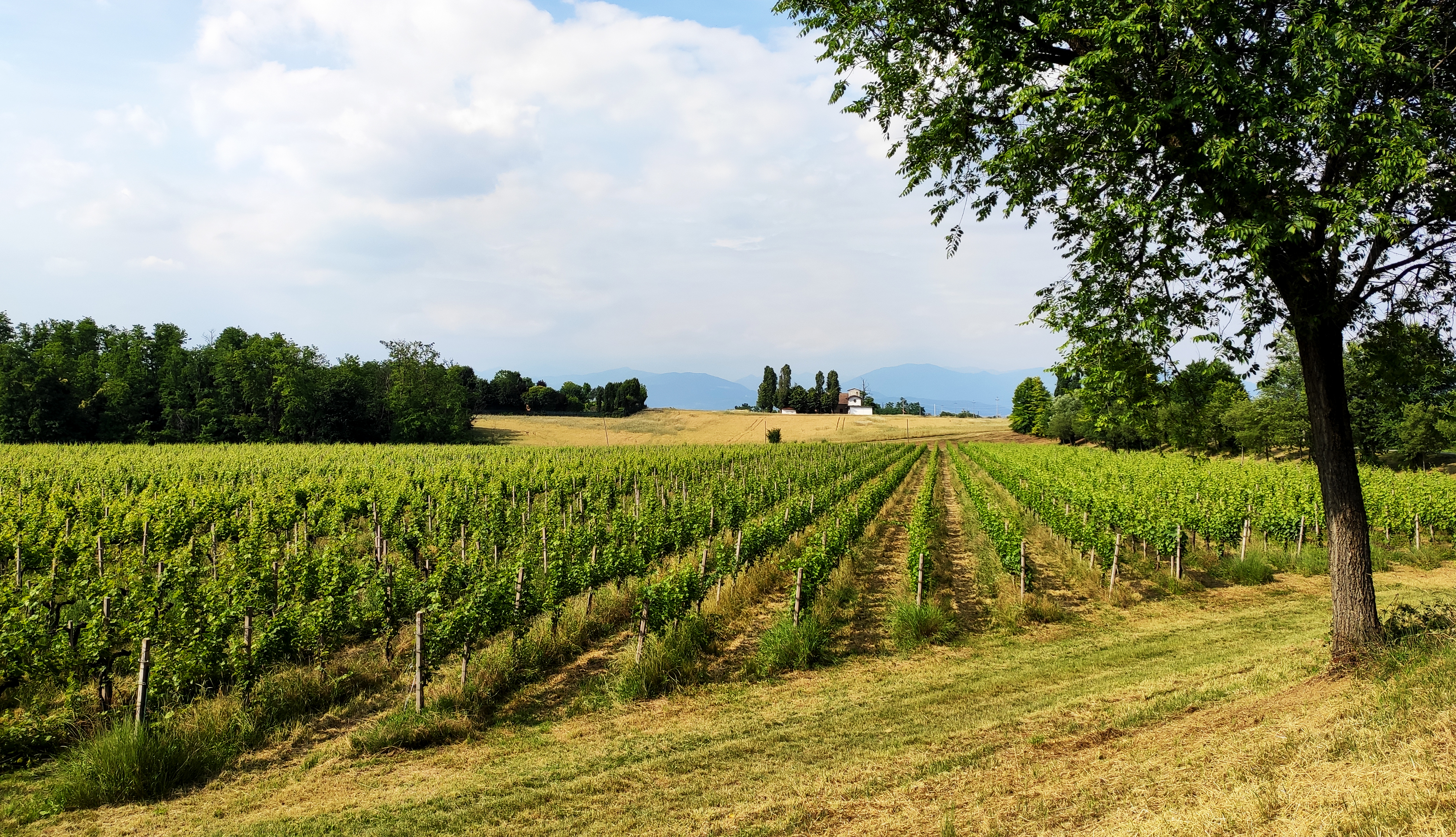 Comune di Capriano del Colle