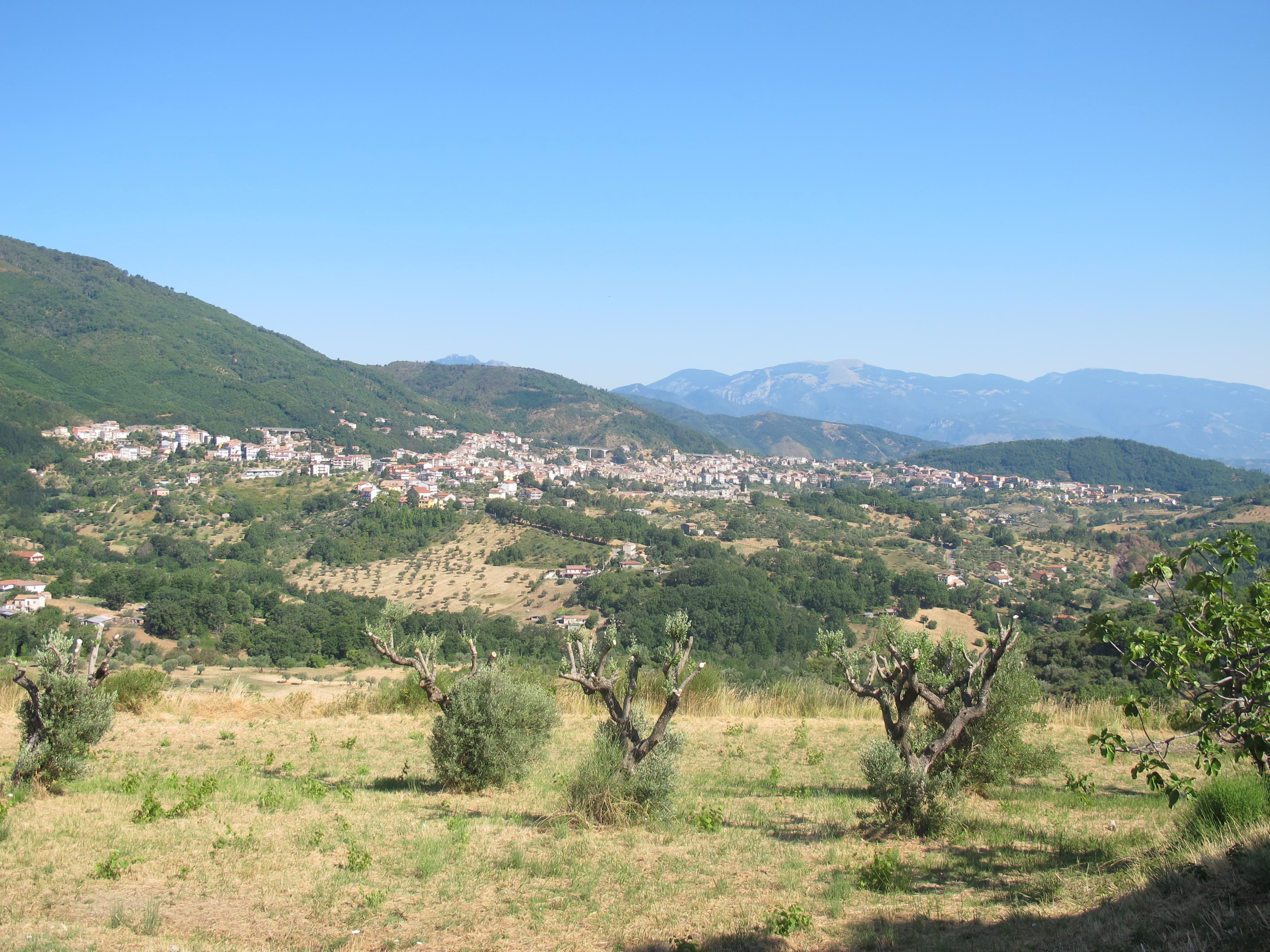 Comune di Fagnano Castello