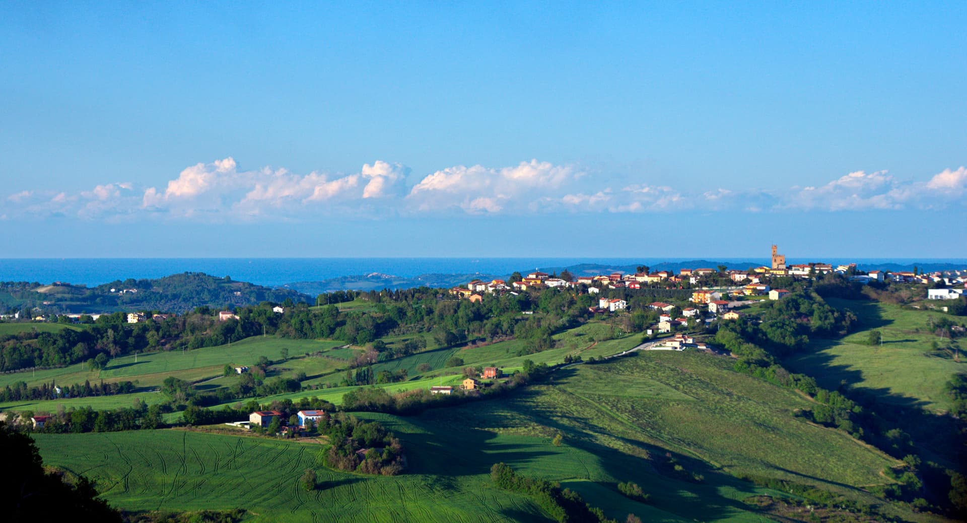 Comune di Tavoleto