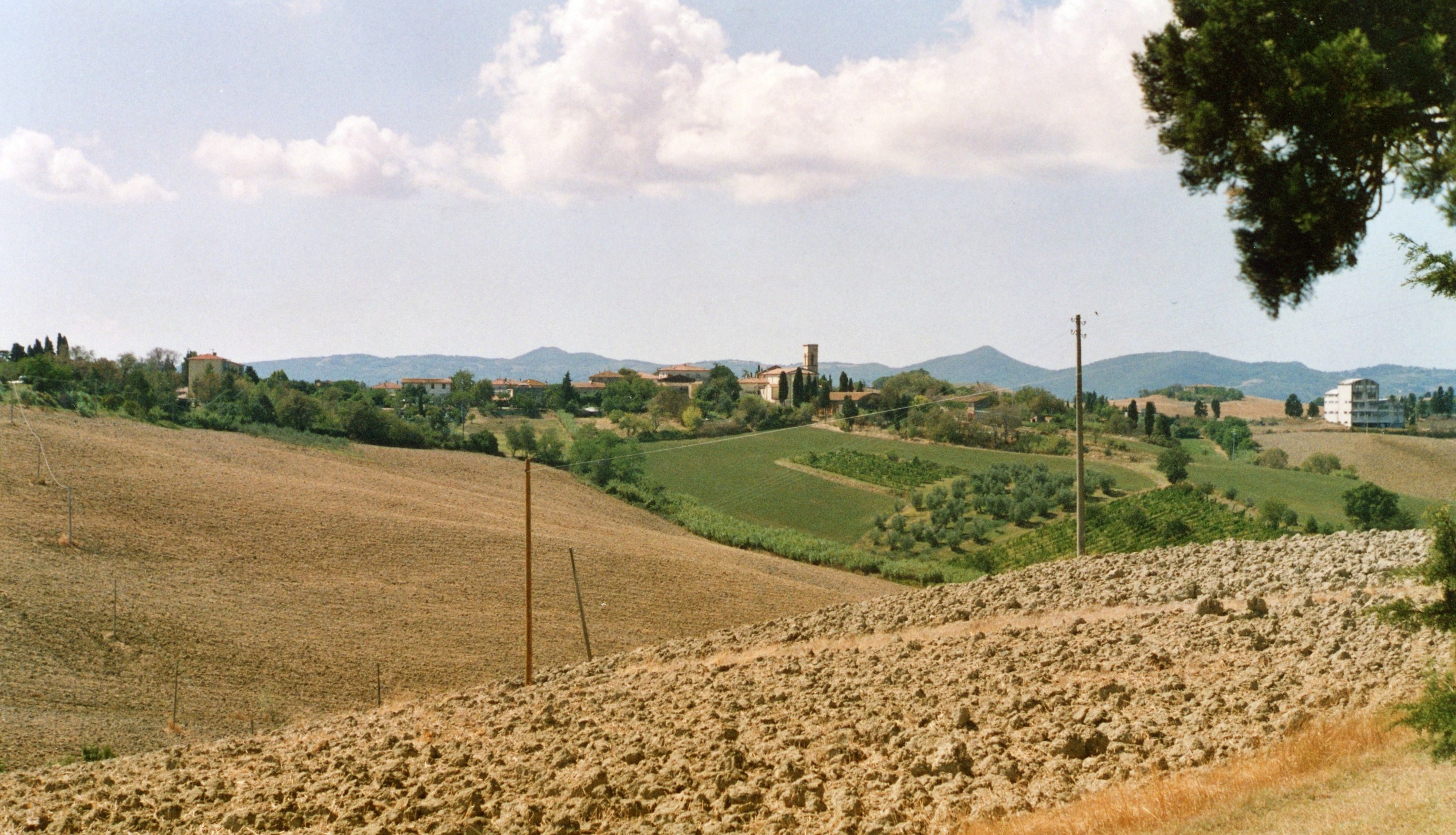 Comune di Orciano Pisano