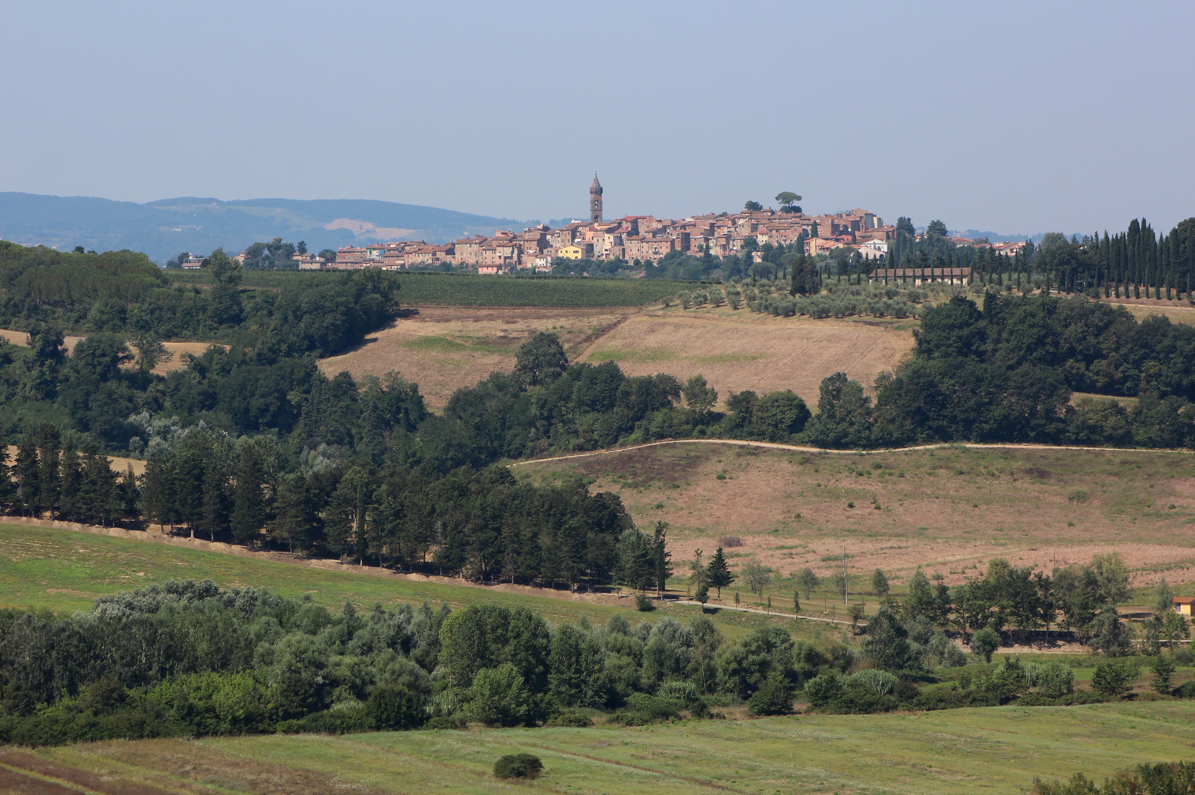 Comune di Peccioli