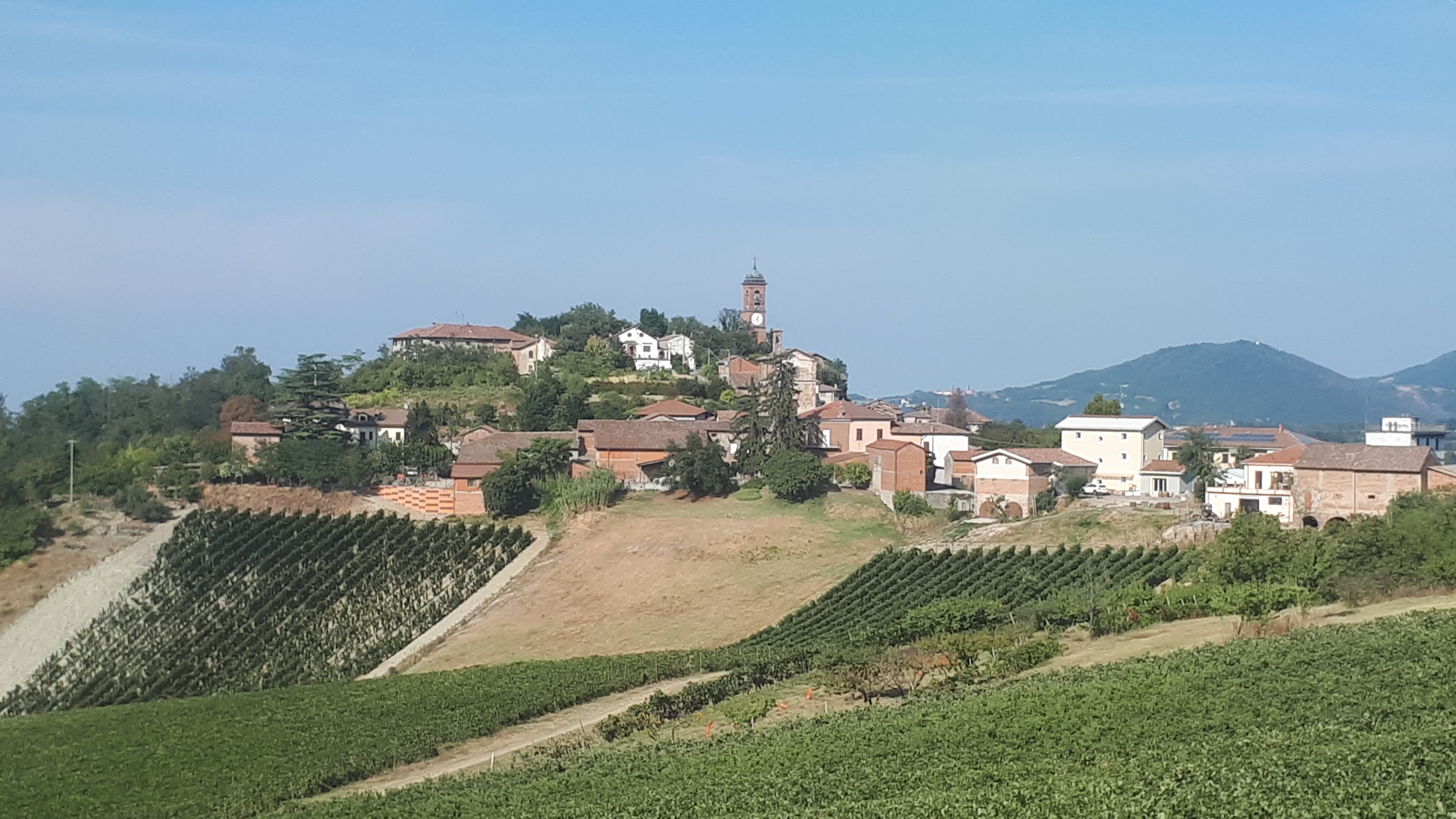 Comune di Monleale