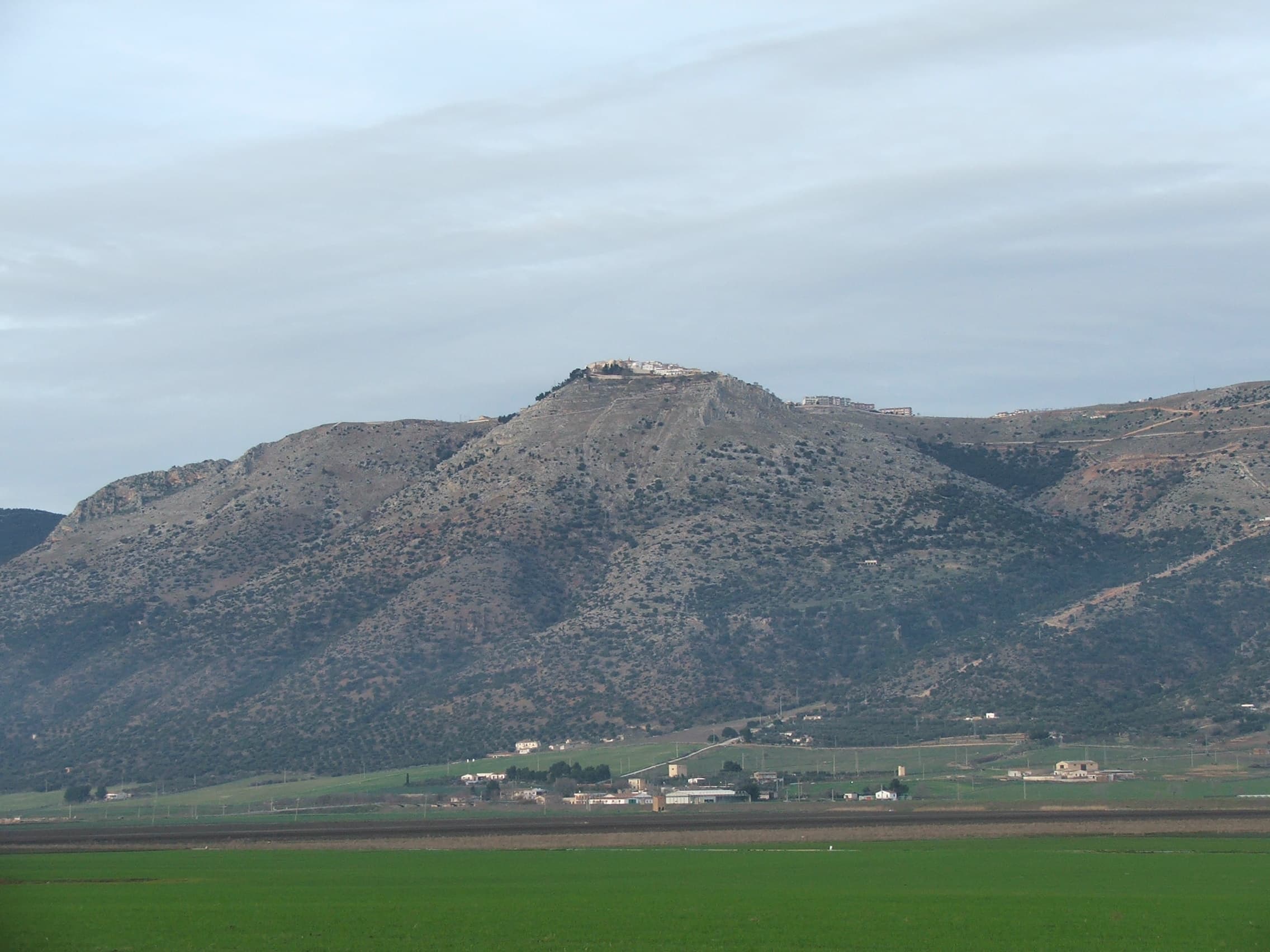 Comune di Rignano Garganico