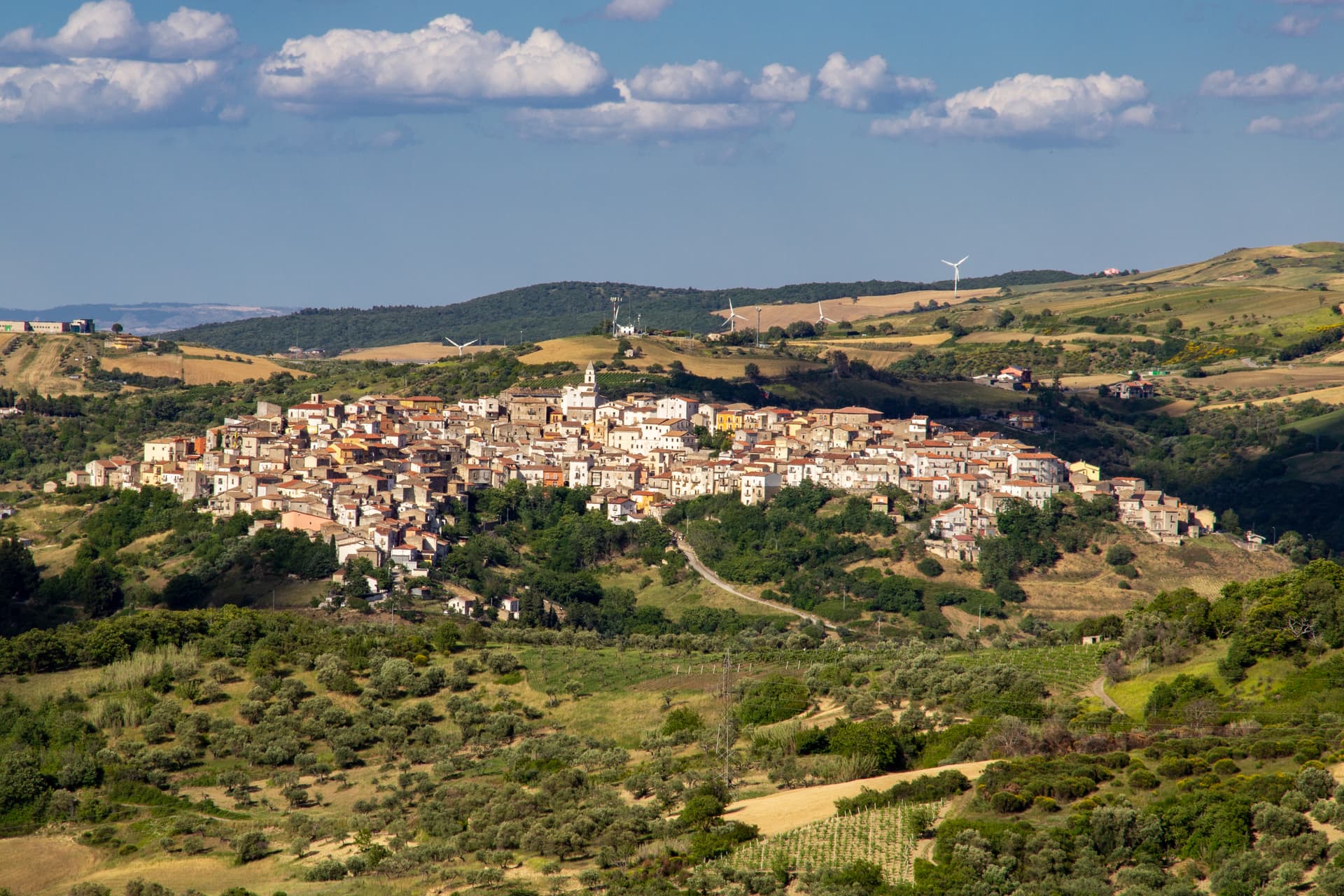 Comune di Ripacandida