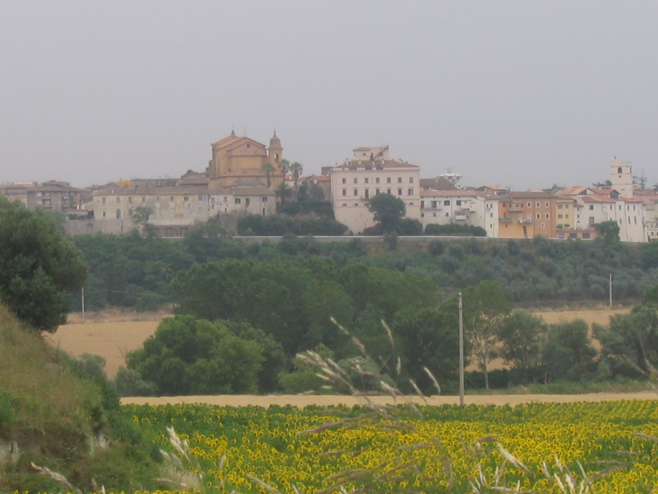 Comune di Montalto di Castro