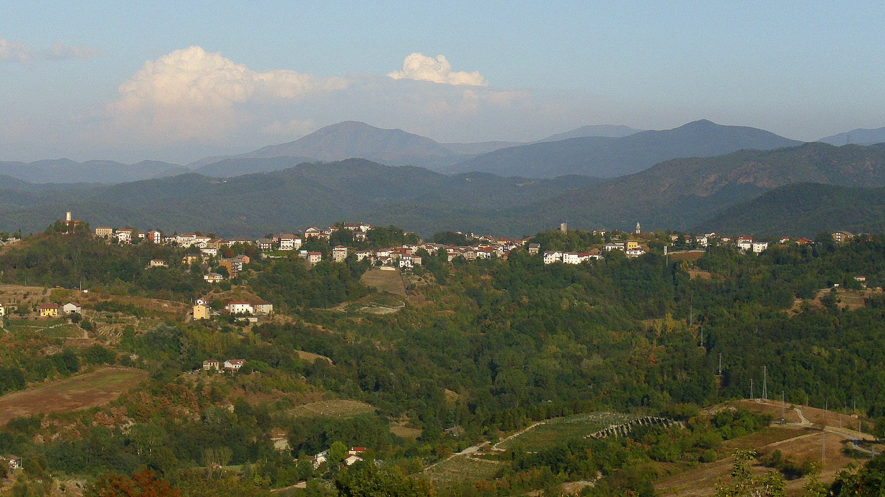Comune di Cassinelle
